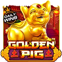 pp image