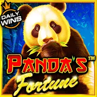 pp image